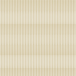 Plissee Streifen II P2253