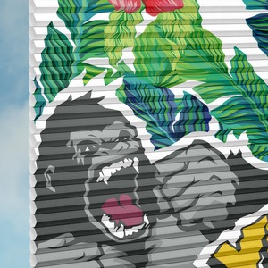 Plissee Duette® DUETTE Fix Elan Marvelous Monkey P30817