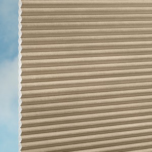 Plissee Duette® DUETTE Fix Elan Metallic Duotone P30830