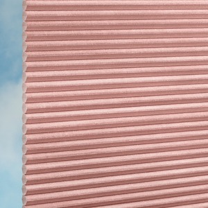 Plissee Duette® DUETTE Fix Pearl Topar Fulltone P30834