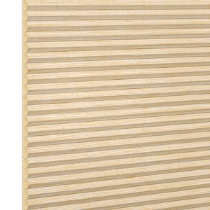 Plissee Plissee Duette� EL Plain StreetSideP35411