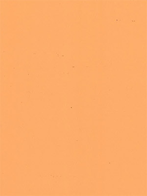 Stoff Rollo Maßanfertigung 173363