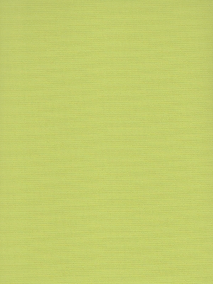 Stoff Rollo Maßanfertigung Standard PES R 1115