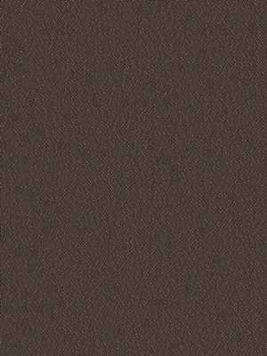 Stoff Rollo Maßanfertigung Euro Blackout R 2417