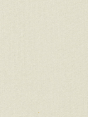 Stoff Rollo Maßanfertigung R2440