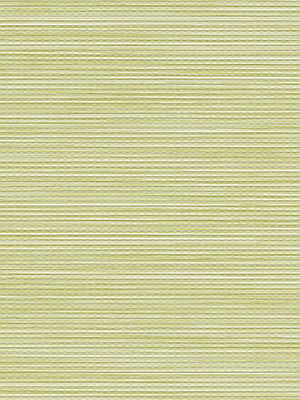 Stoff Rollo Maßanfertigung R2501