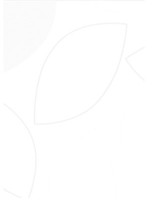 Stoff Rollo Maßanfertigung R2642