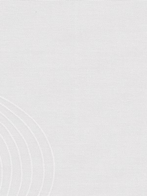 Stoff Rollo Maßanfertigung Ausbrenner/Black & White R 3322