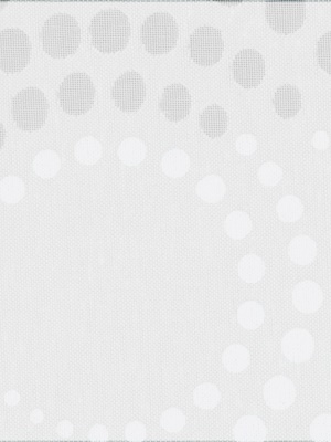 Stoff Rollo Maßanfertigung Ausbrenner/Black & White R 4320