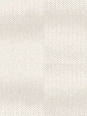 Stoff Rollo Maßanfertigung Screen R 5201